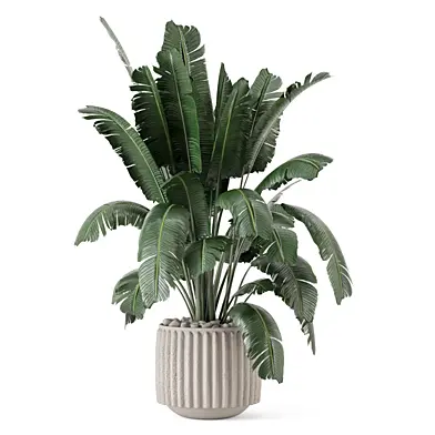 Indoor Plants in Ferm Living Bau Pot Large 4678