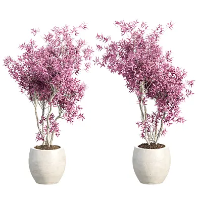 Modern indoor planter