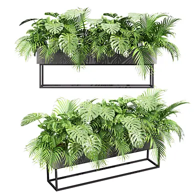 plant vol 1178 - monstera - palm - box