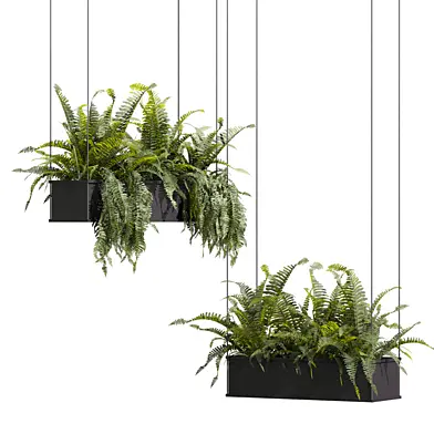 plant vol 1194
