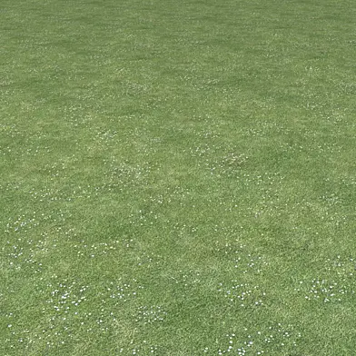 Grass texture 200