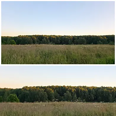 Nature Panorama