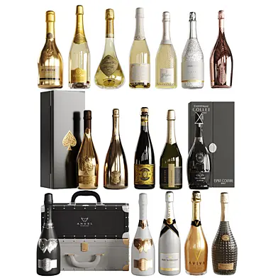 Bottles set 09 Champagne
