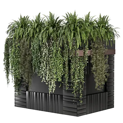 outdoor hanging plants 2776