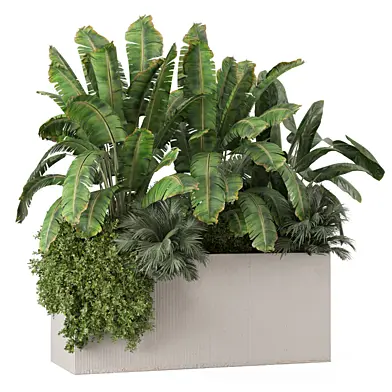Outdoor Plants Minimal Pot Set_4772