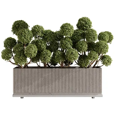 Cloud Topiary Tree in Rectangular Planter Vol 09