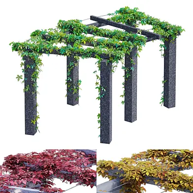 Curved pergola