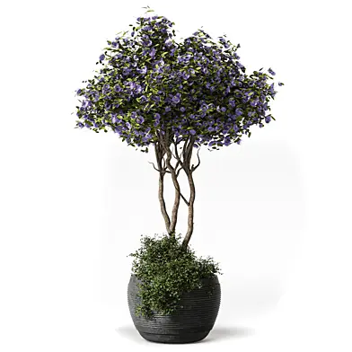 Plants - Flowering Tree Shrub 639