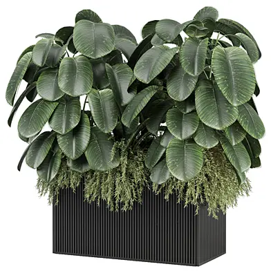outdoor Plants Collection 2794