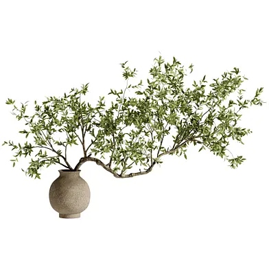 Bouquet of Branches in a Clay Pot 218