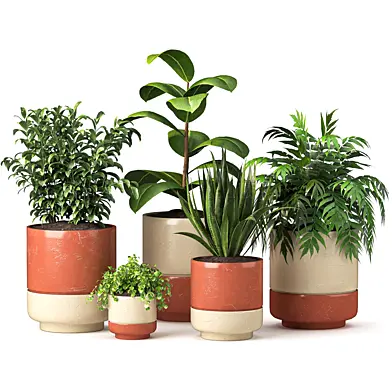 Plant Set 25