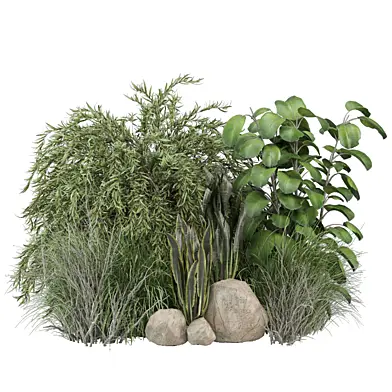 bush and tree plants 2800