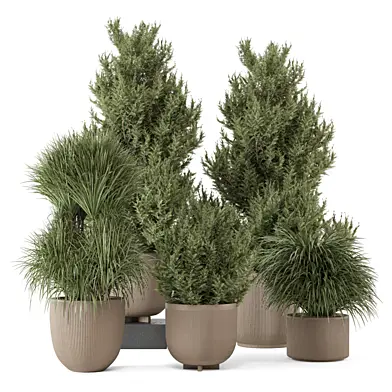 Outdoor Plants Pine Bush and Tree_Set 4824