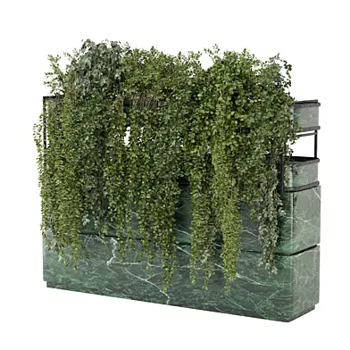 Indoor Hanging Plants in Marbel Box_Set 4857