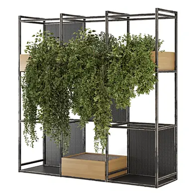 Indoor Plants in Metal Stand _Set 4874
