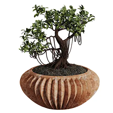 Decorative little Cute Bonsai Tree 02