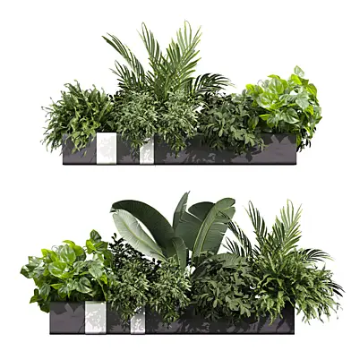 plant vol 1241