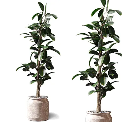 Plant - Indoor Tall Plant 679