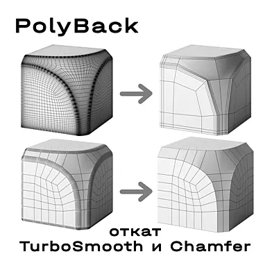 PolyBack
