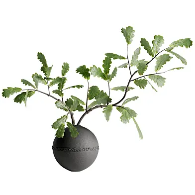 Bouquet of Branches in a Clay Pot 257