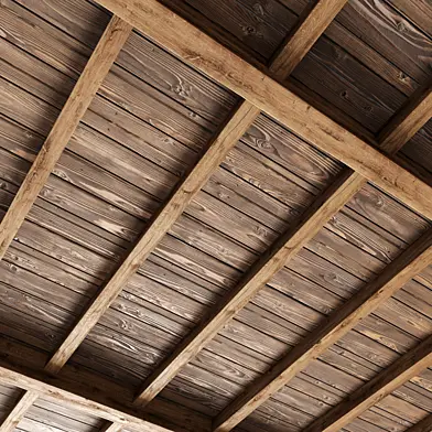 Beam ceiling n31