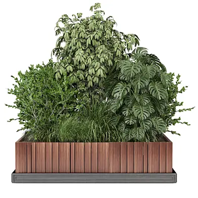 outdoor bush plants 2859