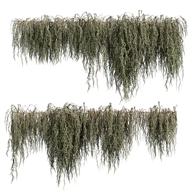 plant vol 1336