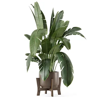 Indoor Plants Ferm Living Bau Pot Large_Set 5025