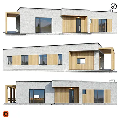Modern house V179