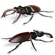 3d Models Download 3dsky Org