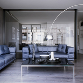 Roche bobois Syntone