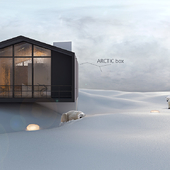 ARCTIC box