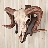 ram skull