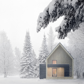 Winter house