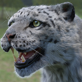 Irbis (Snow Leopard)
