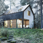 Forest house