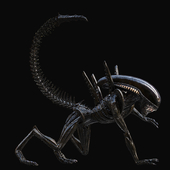 xenomorph