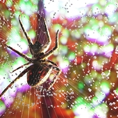 Spider  RedShift Render