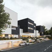 " Black & White House " project AGi Architects / выполнена по референсу /