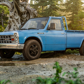 Truck in the forest