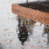 Fall