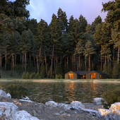 House in forest