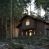 House in woods. Progect "Arkadia"