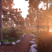 Sunset and rain. Forest