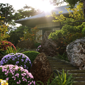 Japanese garden