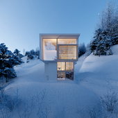 Winter House