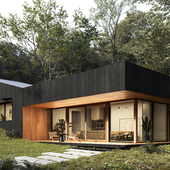 Small modern house in the woods