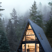 A-FRAME HOUSE