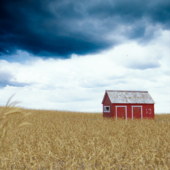 Barn in the field