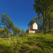 PLYWOOD HOUSE